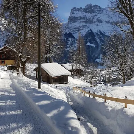 Homestay Eiger View