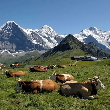 Eiger View Γκρίντελβαλντ