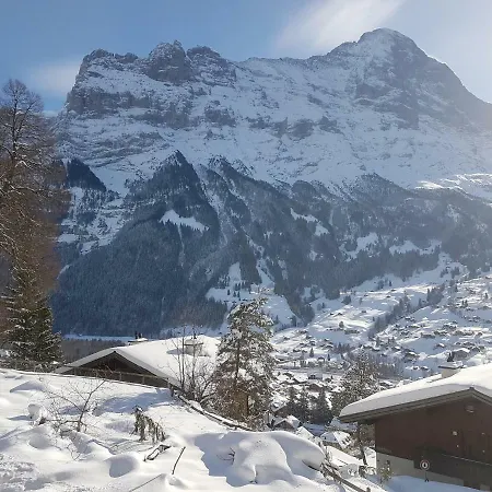 Eiger View * Grindelwald