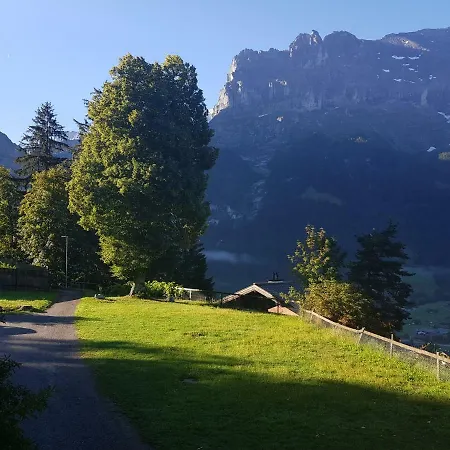 Homestay Eiger View *