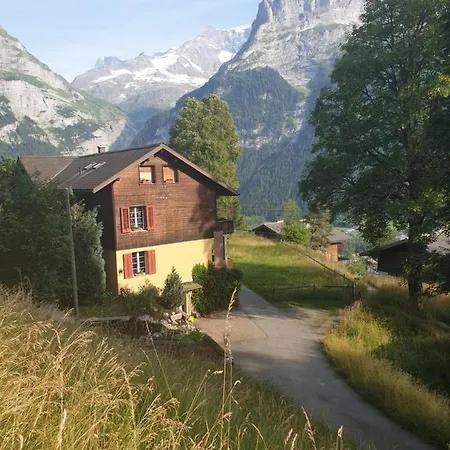 Eiger View *